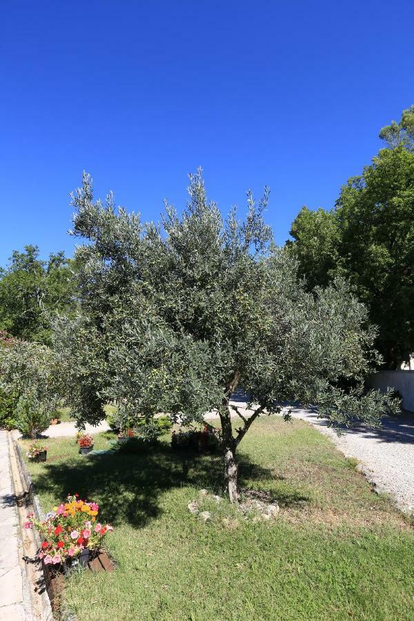 Le Mas Du Vieux Chene Saint-Paul-en-Foret ภายนอก รูปภาพ